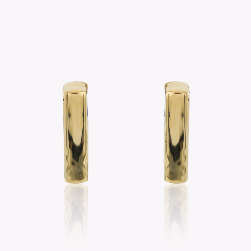 Gold Hardware Earrings