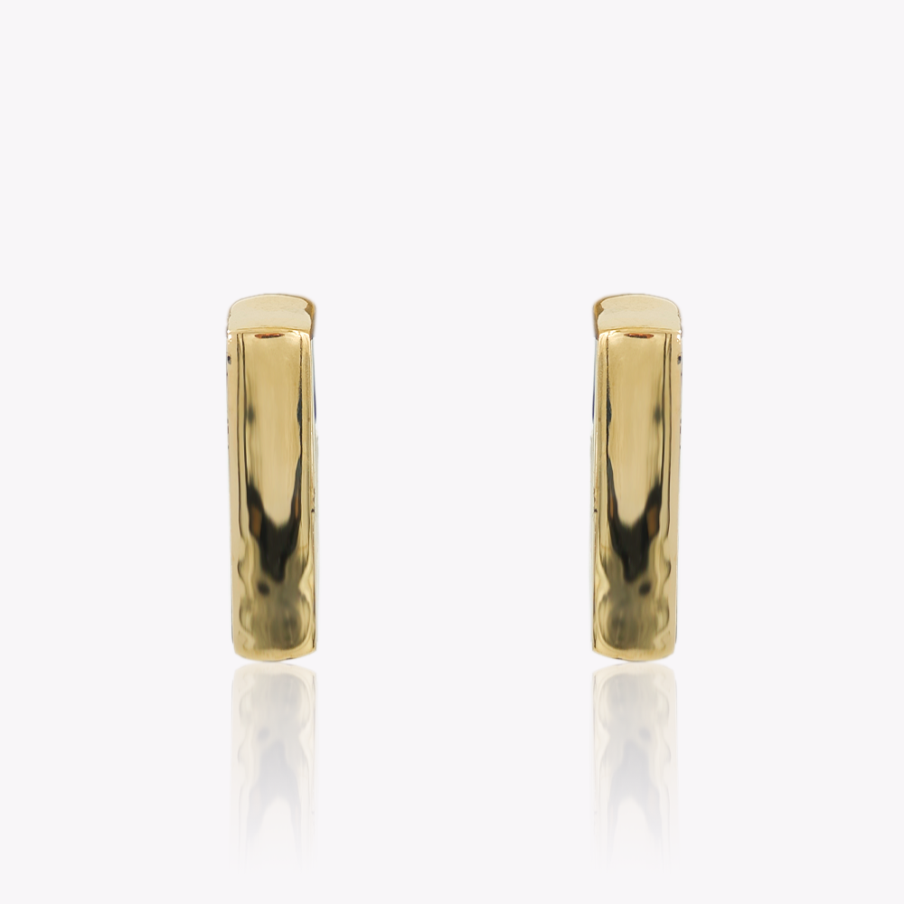Gold Hardware Earrings