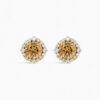 Champagne diamond cluster earrings or studs