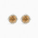 Champagne diamond cluster earrings or studs