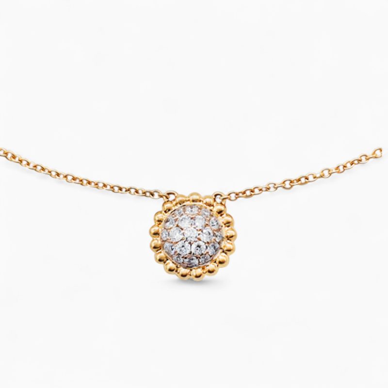 Pomme-20210529_130712-1-Photoroom